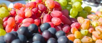 Существует около 1000 сортов винограда. В зависимости от сорта меняется и состав ягод