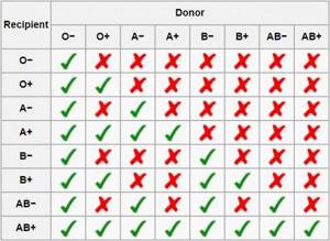 Таблица совместимости групп крови