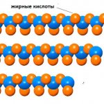 Триглицериды