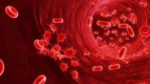 Тромбоцитарный гемостаз: этапы, симптомы, причины и последствия
