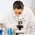 тромбоциты по фонио