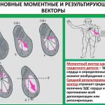 Угол альфа (α, ЭОС, электрическая ось сердца) на ЭКГ. Норма у взрослых, детей, как определить
