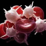 You can find out about an increase in the level of platelets in the blood only by taking a blood test