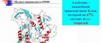 What are the features of blood plasma proteins and their functions?