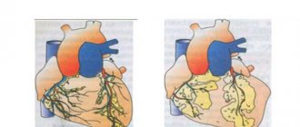 Влияние на сердце