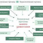 Возможные причины низкого уровня калия