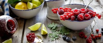 Ягоды от давления