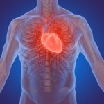 жидкость в сердце причины и лечение